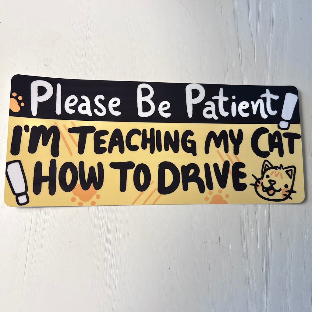 a bumper sticker with humorous text "please be patient i'm teaching my cat to drive" on white