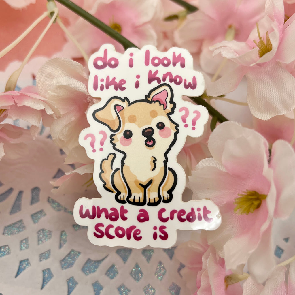 "Do I Look Like I Know...  What a Credit Score Is???" Chihuahua ~ Sticker Sticker Woolblossom   