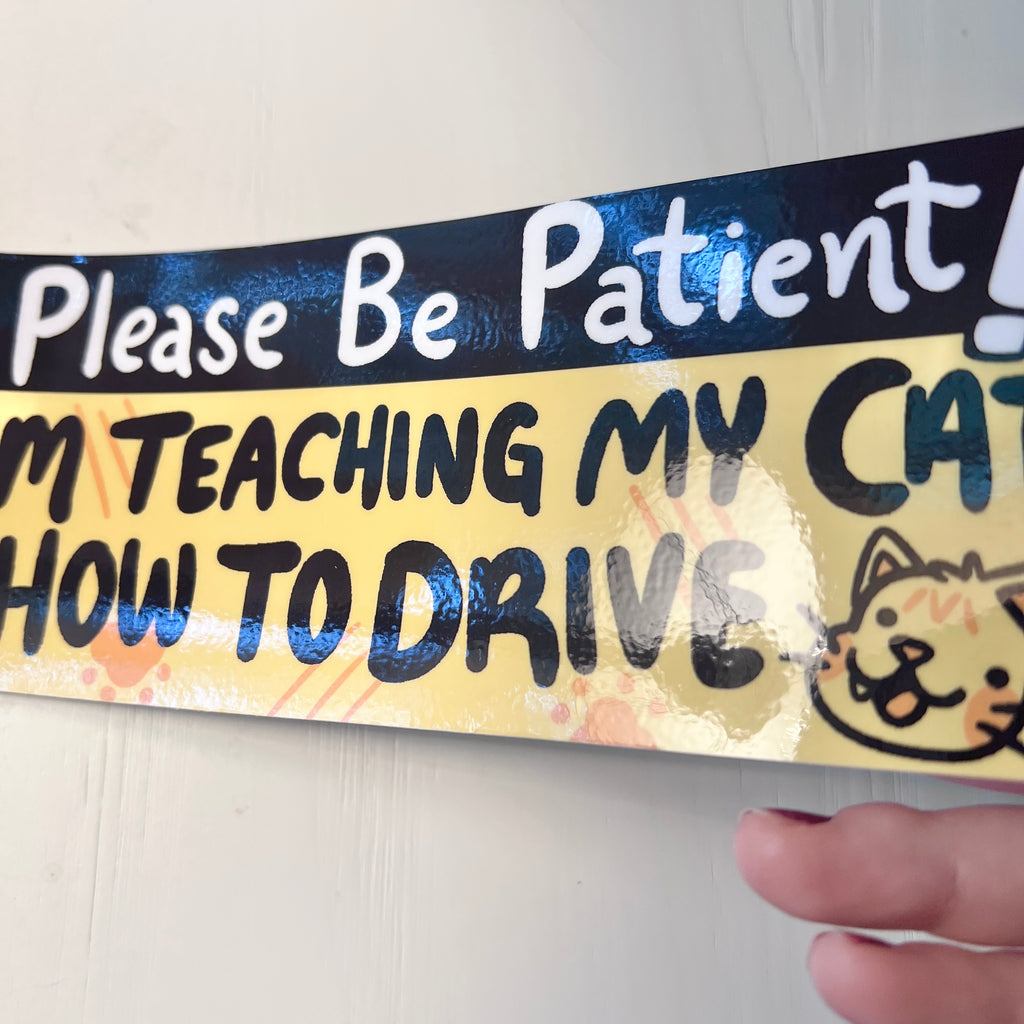 a bumper sticker with humorous text "please be patient i'm teaching my cat to drive" held by hand